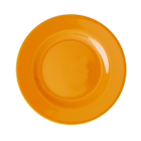 Tangerine Orange Melamine Side Plate or Kids Plate Rice DK
